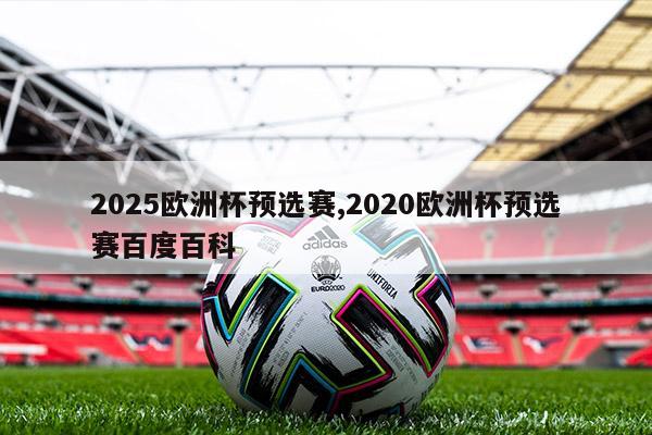 2025欧洲杯预选赛,2020欧洲杯预选赛百度百科